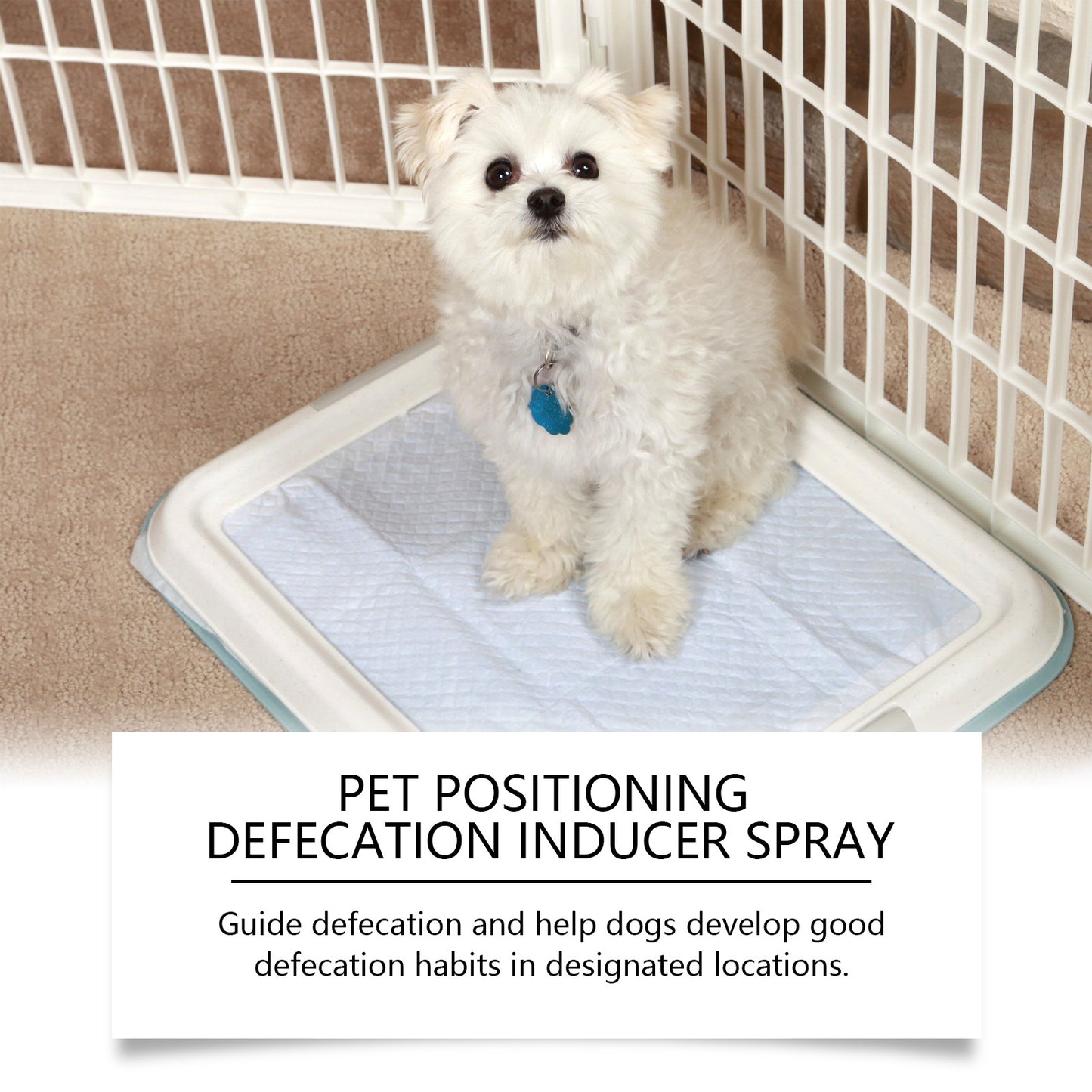 Pet Potty Training Spray – Scent-Guided Location Inducer (50ml)