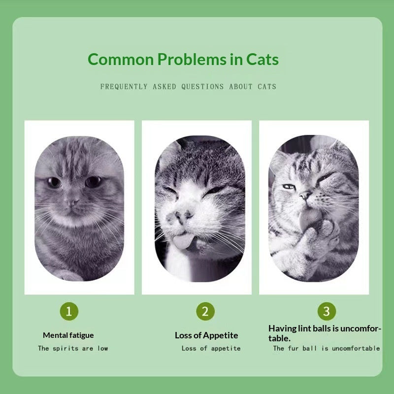 Catnip Cat Grass Snacks – Mint Powder for Hairball Removal & Oral Cleaning