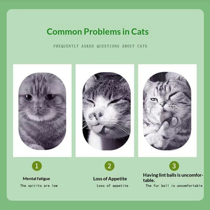 Catnip Cat Grass Snacks – Mint Powder for Hairball Removal & Oral Cleaning