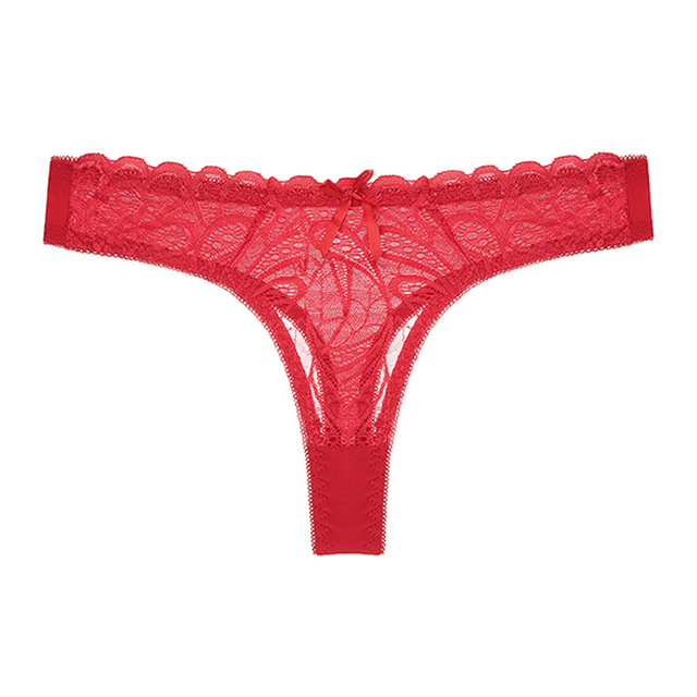 Women's Nylon Lace Lingerie Set – Bra & Panty with Matching Bottoms | S–XL