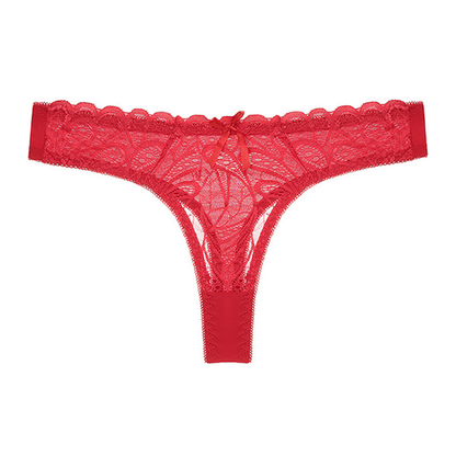 Women's Nylon Lace Lingerie Set – Bra & Panty with Matching Bottoms | S–XL