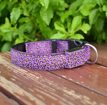 LED Light-Up Dog Collar – Adjustable Safety Collar for Night Walks