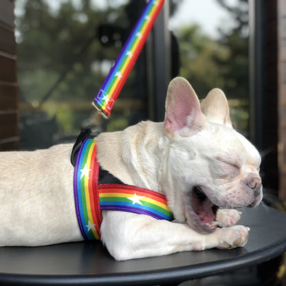 Rainbow Nylon Dog Harness & Leash Set