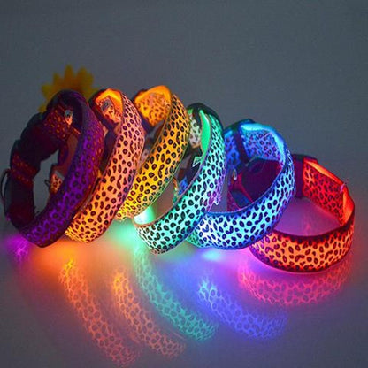 LED Light-Up Dog Collar – Adjustable Safety Collar for Night Walks