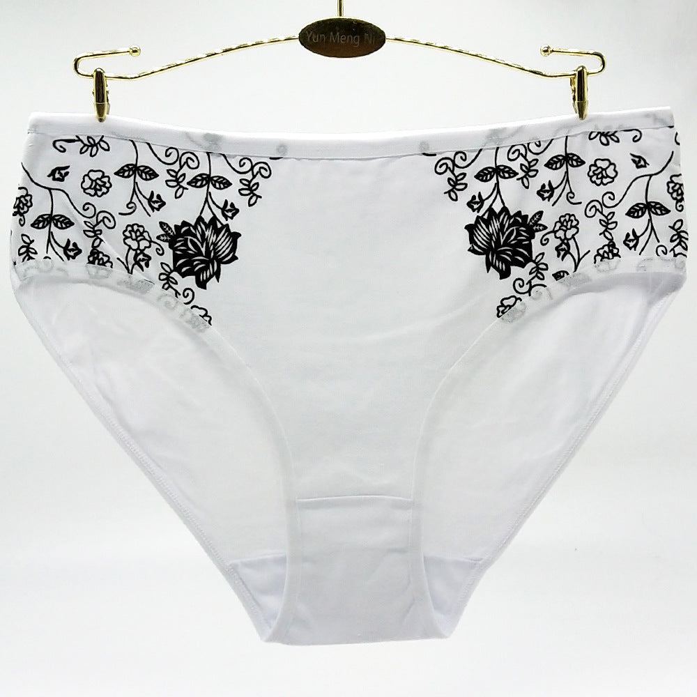 Women's Floral Print Cotton Briefs – 6-Pack (Plus Sizes)