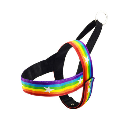 Rainbow Nylon Dog Harness & Leash Set