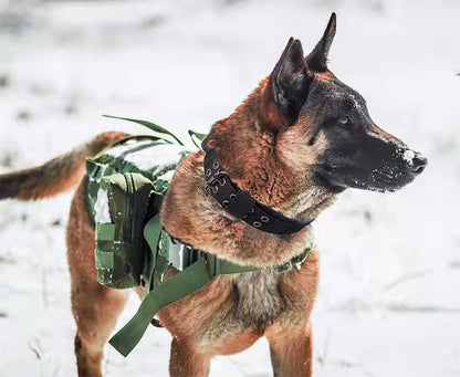 Tactical Nylon Dog Collar – Outdoor & Training | M, L, XL