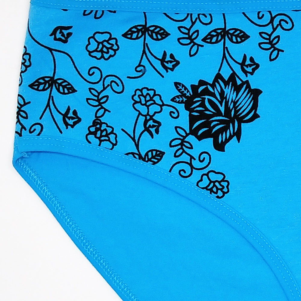 Women's Floral Print Cotton Briefs – 6-Pack (Plus Sizes)
