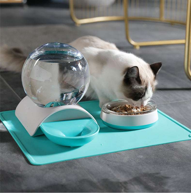 Pet Feeding & Watering Set – Food & Water Bowl Combo