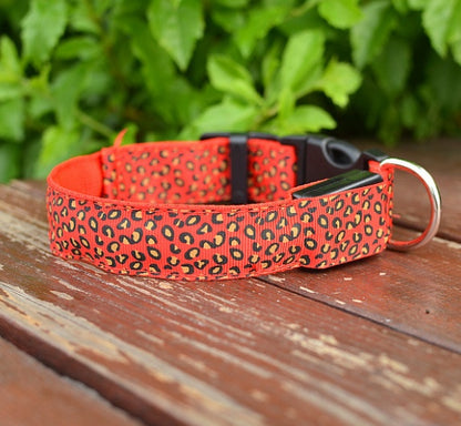 LED Light-Up Dog Collar – Adjustable Safety Collar for Night Walks