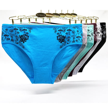 Women's Floral Print Cotton Briefs – 6-Pack (Plus Sizes)