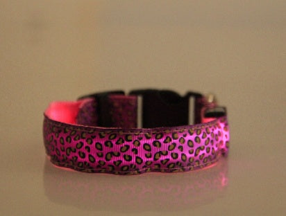 LED Light-Up Dog Collar – Adjustable Safety Collar for Night Walks