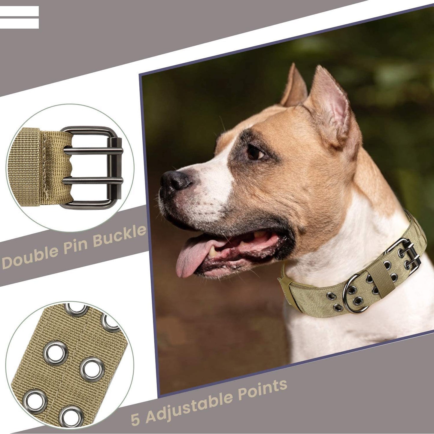 Tactical Nylon Dog Collar – Outdoor & Training | M, L, XL