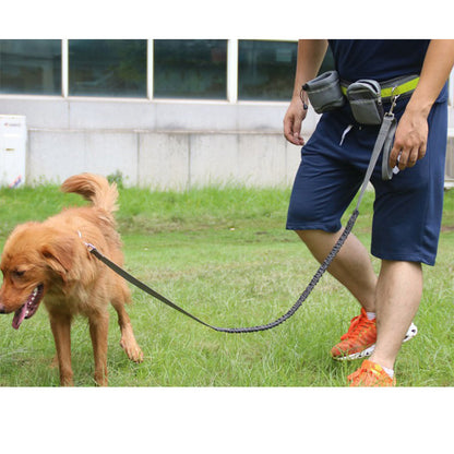 Hands-Free Dog Running Leash Set