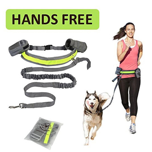 Hands-Free Dog Running Leash Set