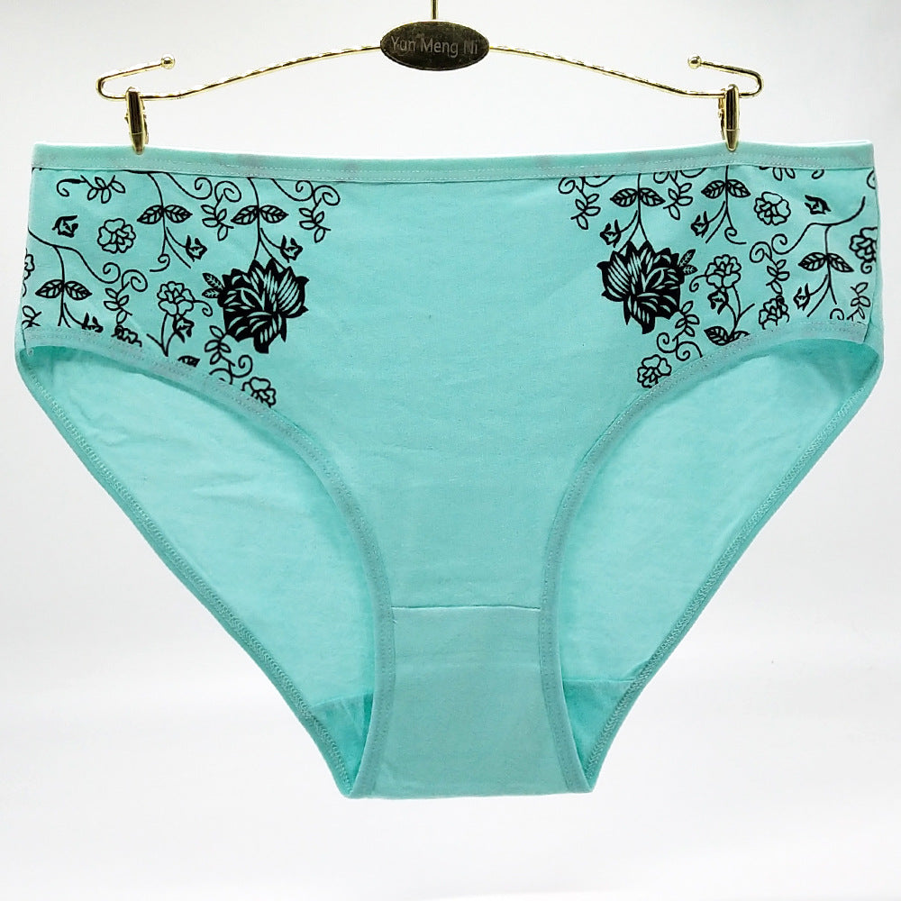 Women's Floral Print Cotton Briefs – 6-Pack (Plus Sizes)