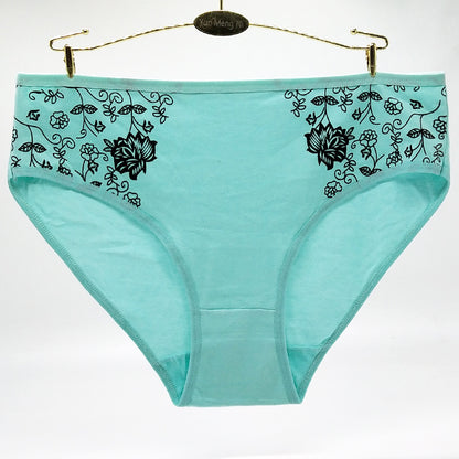 Women's Floral Print Cotton Briefs – 6-Pack (Plus Sizes)