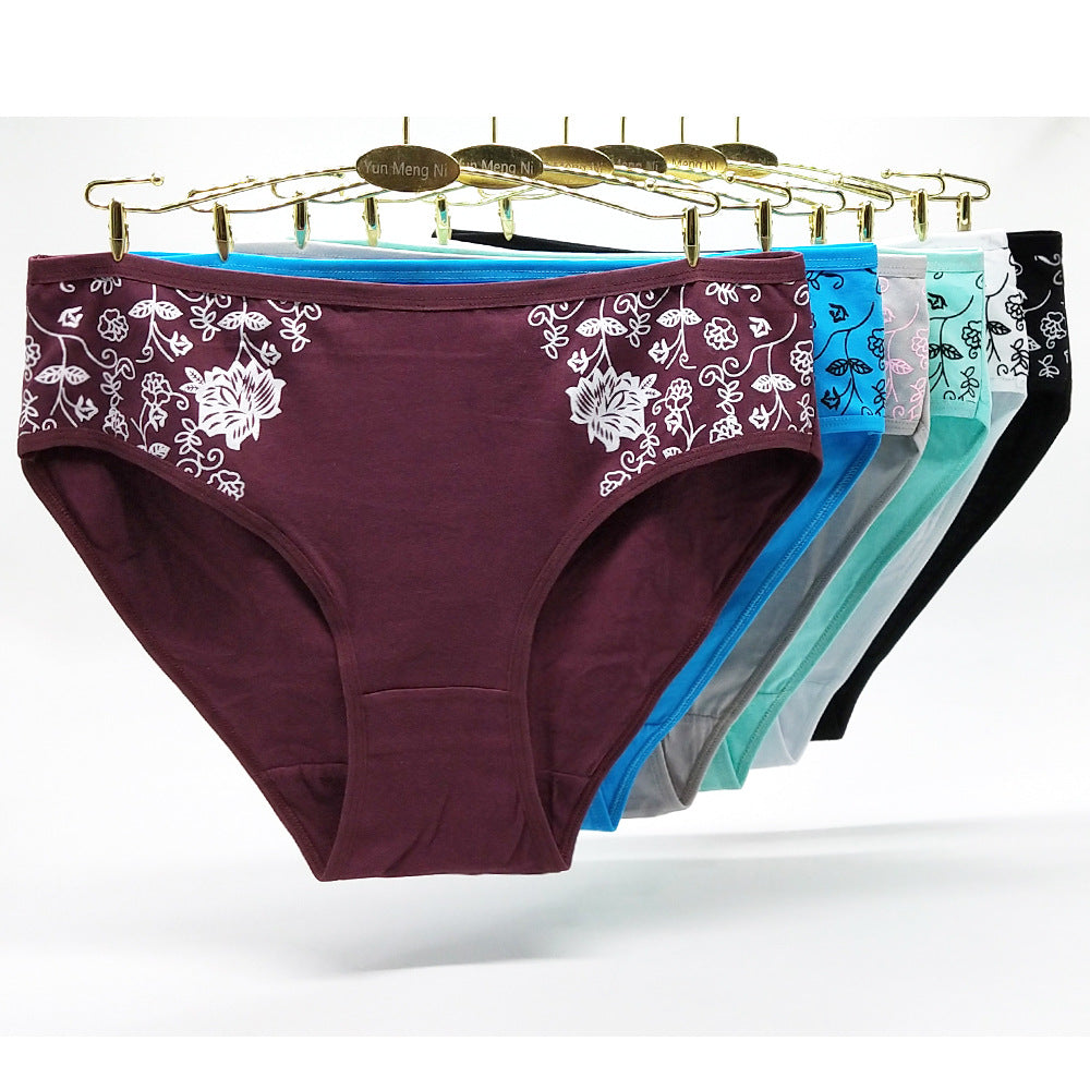 Women's Floral Print Cotton Briefs – 6-Pack (Plus Sizes)