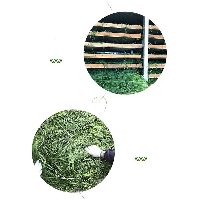 Fresh Dried Timothy Grass Hay for Small Pets (1kg)