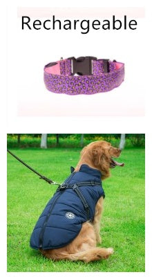 LED Light-Up Dog Collar – Adjustable Safety Collar for Night Walks