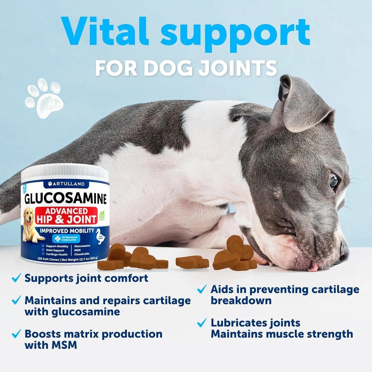 Dog Hip & Joint Supplement – Glucosamine Chews with Chondroitin, Hemp Oil & MSM – 120 Soft Treats