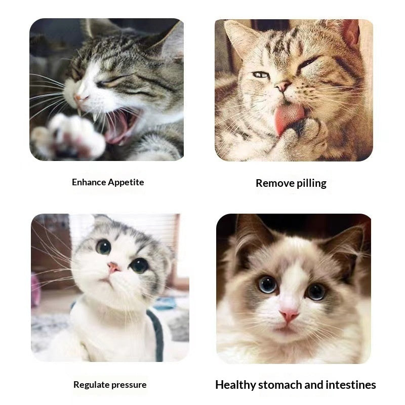 Catnip Cat Grass Snacks – Mint Powder for Hairball Removal & Oral Cleaning