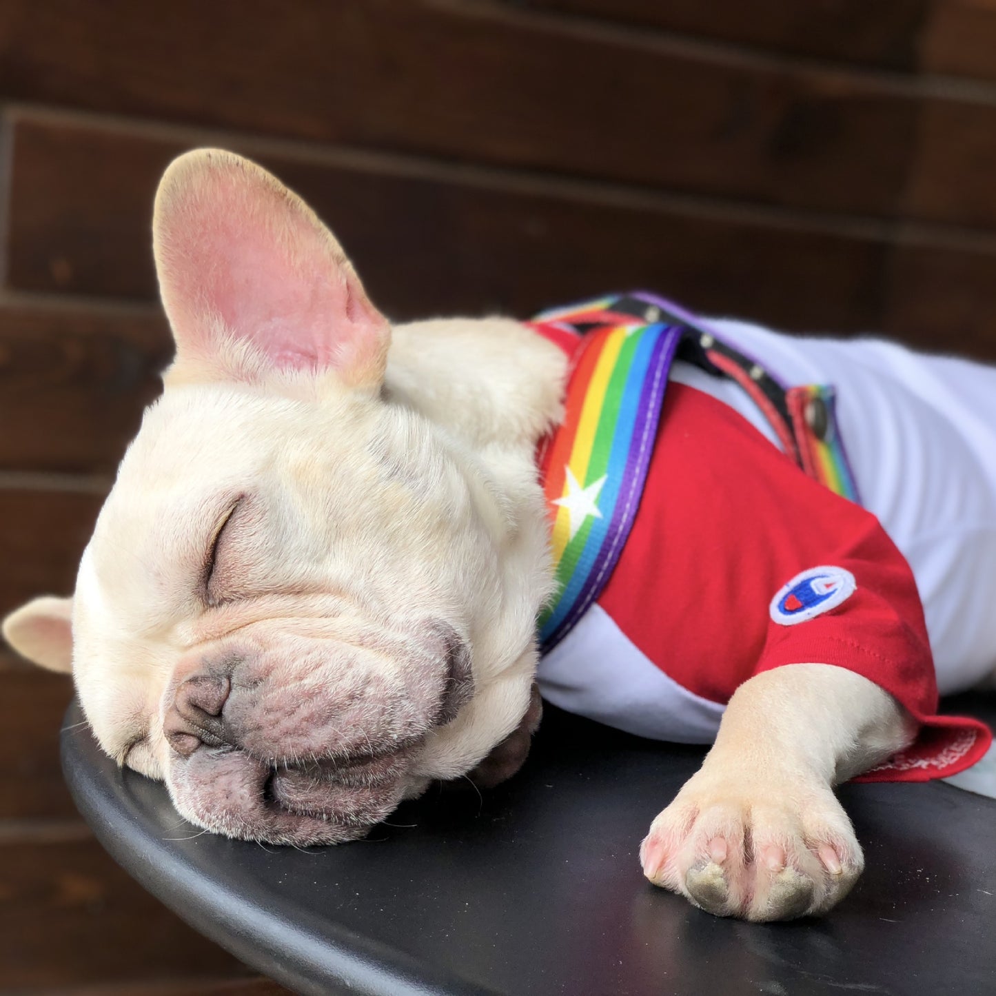 Rainbow Nylon Dog Harness & Leash Set