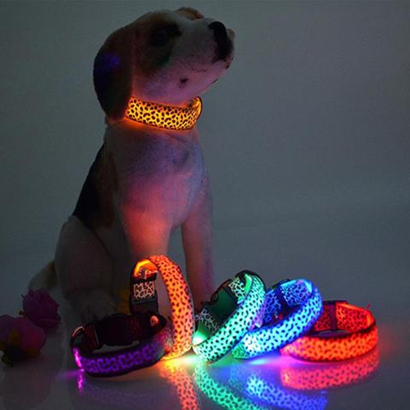 LED Light-Up Dog Collar – Adjustable Safety Collar for Night Walks
