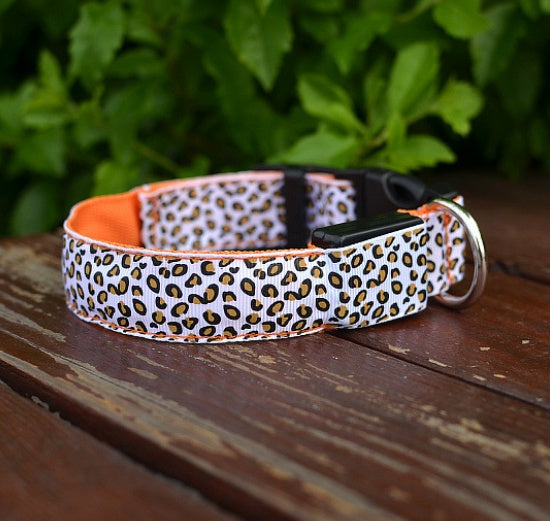 LED Light-Up Dog Collar – Adjustable Safety Collar for Night Walks