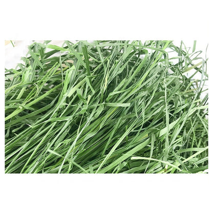 Fresh Dried Timothy Grass Hay for Small Pets (1kg)