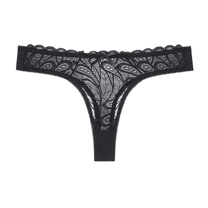 Women's Nylon Lace Lingerie Set – Bra & Panty with Matching Bottoms | S–XL