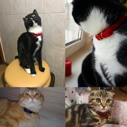Soft Flocked Cat Collar – Comfortable & Stylish
