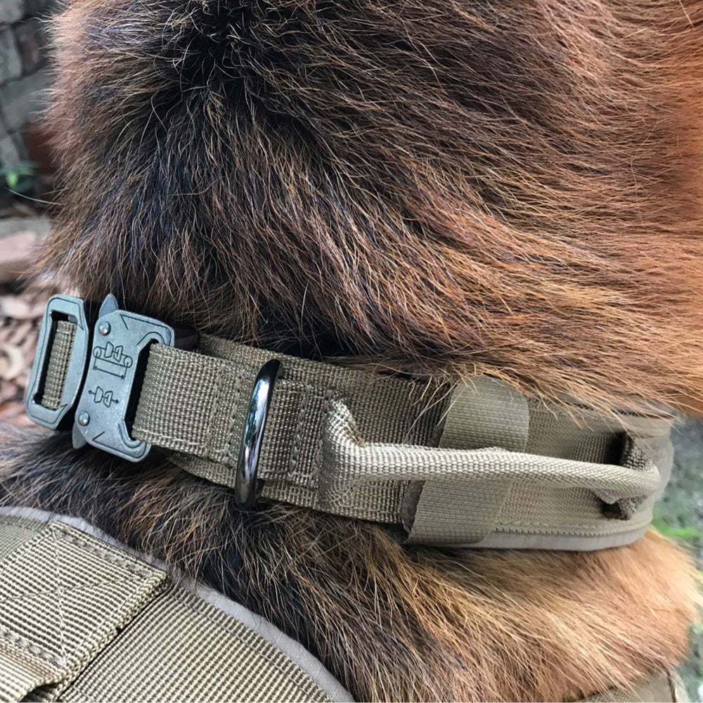Tactical Dog Collar – 1000D Nylon, Double Buckle Safety | 4 Colors, M–XL