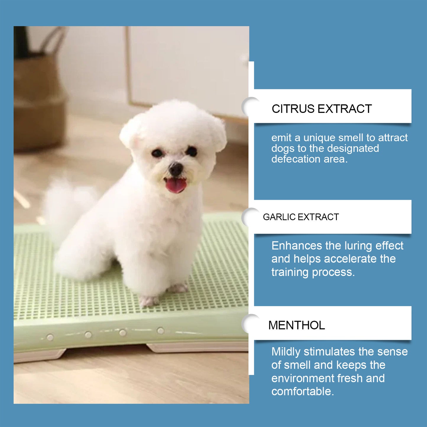 Pet Potty Training Spray – Scent-Guided Location Inducer (50ml)