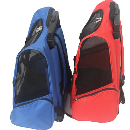 Foldable Large Pet Carrier Bag for Dogs & Cats
