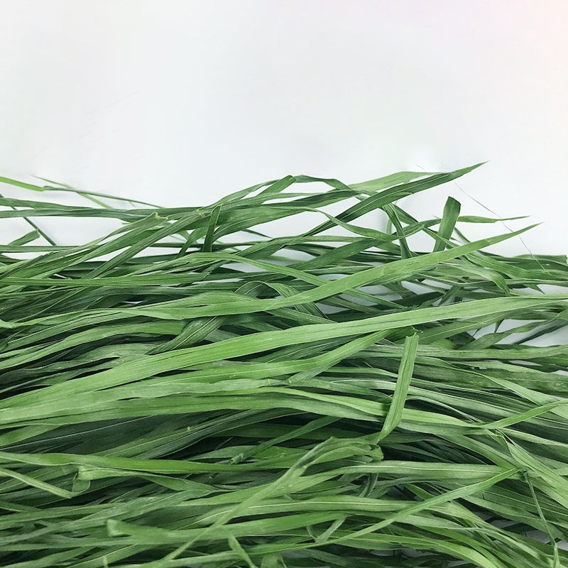 Fresh Dried Timothy Grass Hay for Small Pets (1kg)