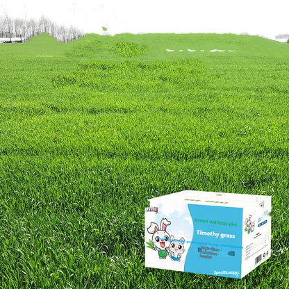 Fresh Dried Timothy Grass Hay for Small Pets (1kg)