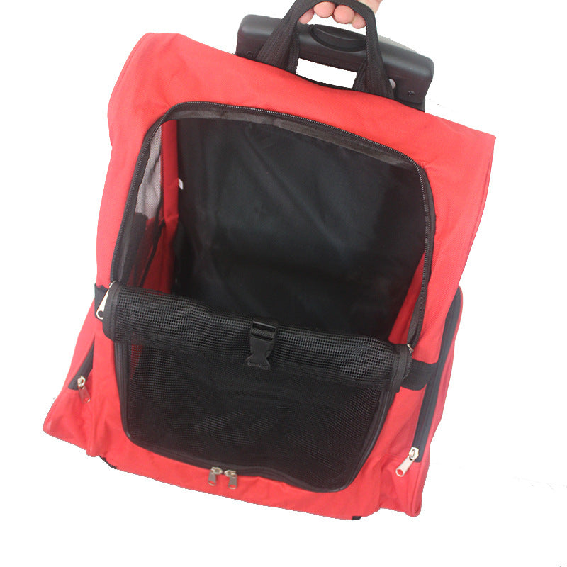Foldable Large Pet Carrier Bag for Dogs & Cats