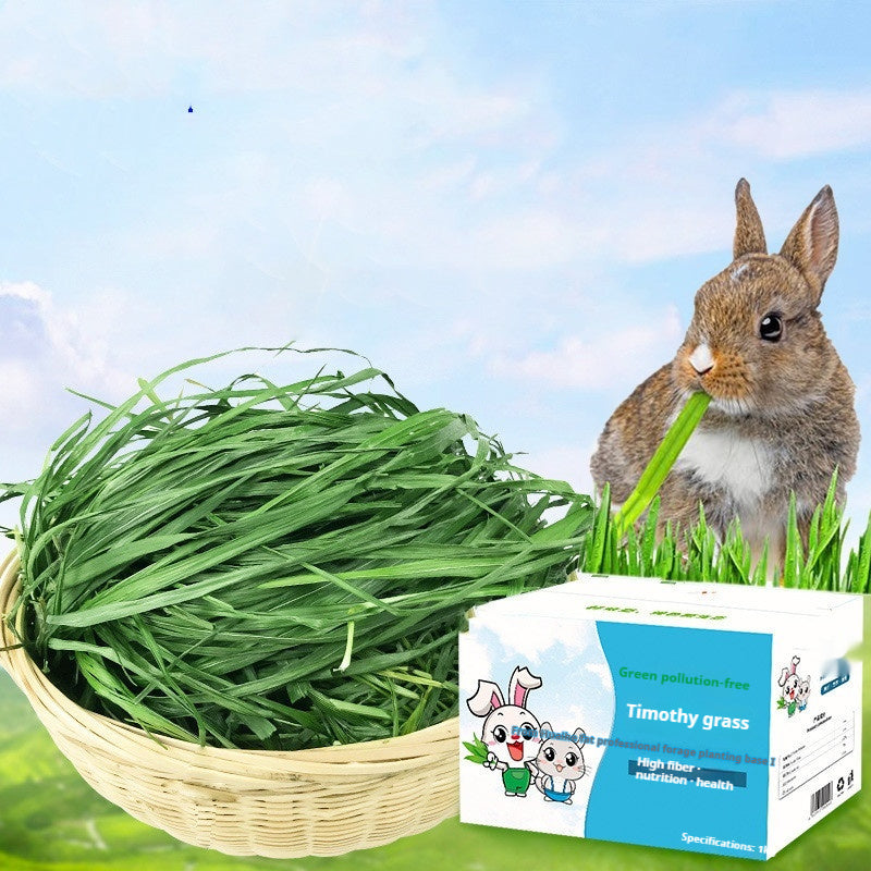Fresh Dried Timothy Grass Hay for Small Pets (1kg)